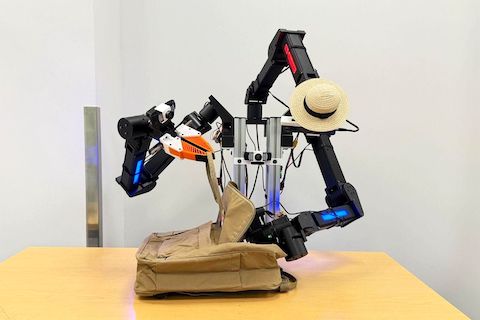 Vision in Action: Learning Active Perception from Human Demonstrations